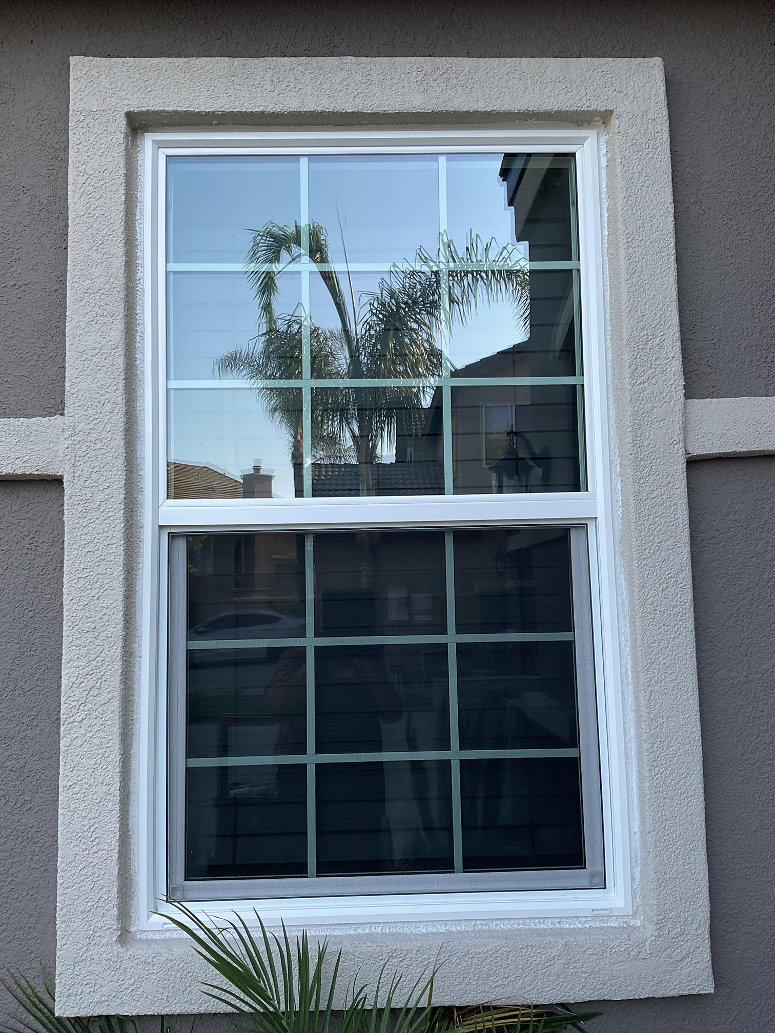 An example of our work. Un ejemplo de nuestro trabajo.